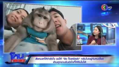 ก็อตซิลล่า