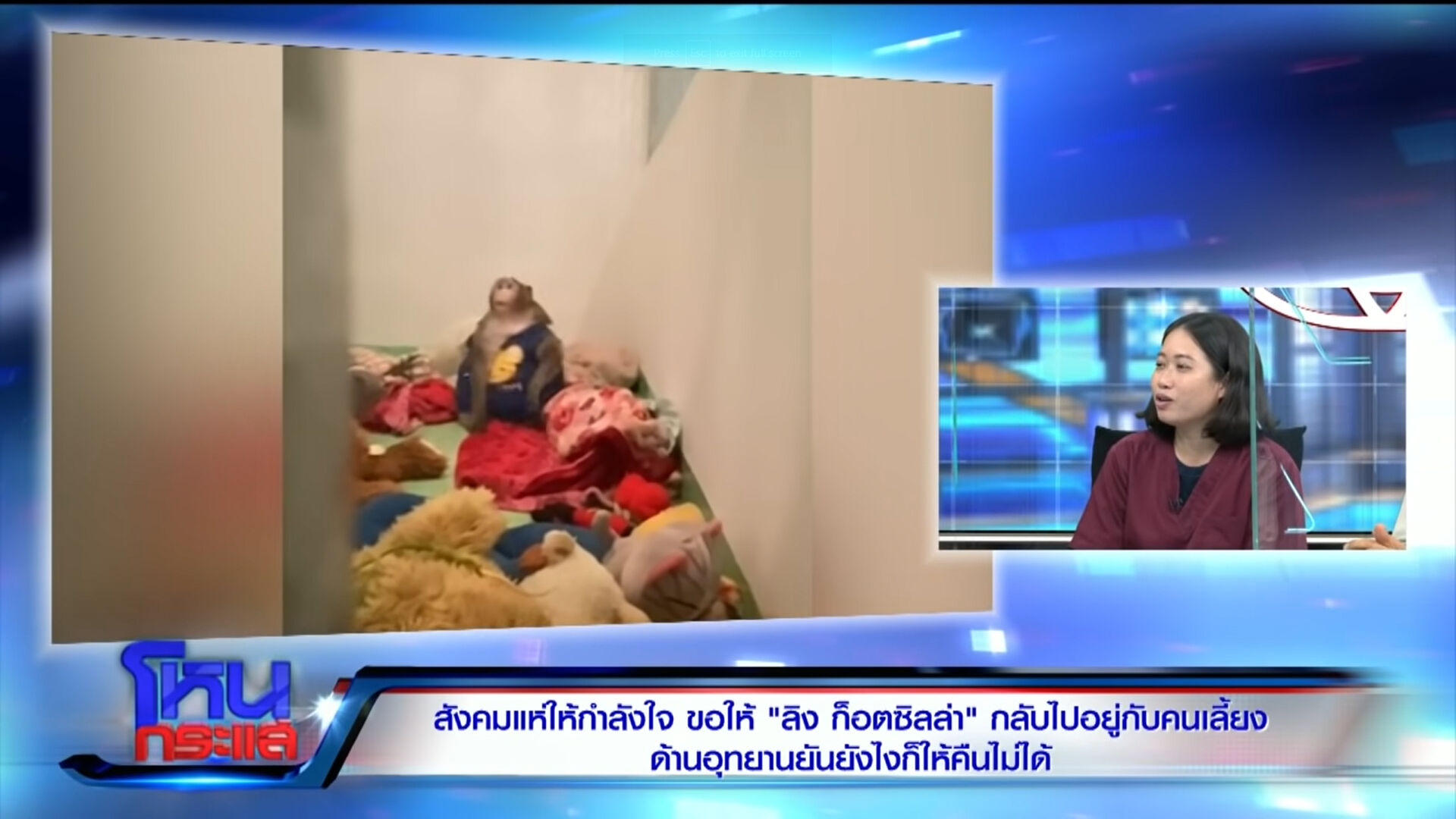 ก็อตซิลล่า กรมอุทยานฯ