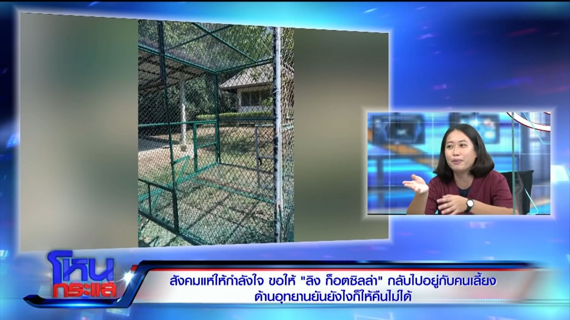 ก็อตซิลล่า กรมอุทยานฯ