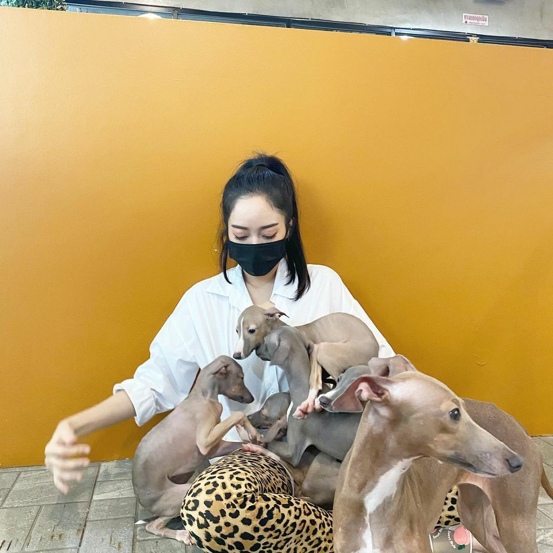 แก้มบุ๋ม ปรียาดา