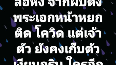 เต๋า ทีวีพูล