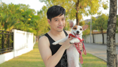ตี๋ เอเอฟ