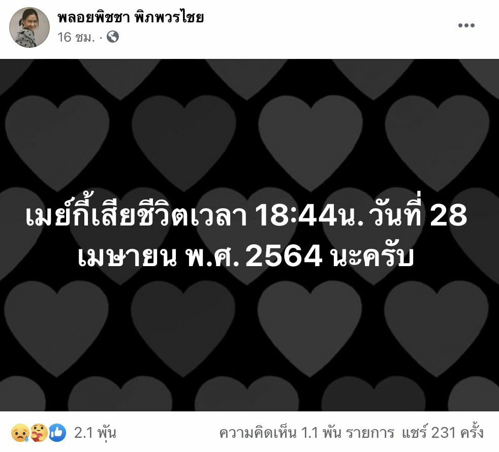 เมย์กี้ พลอยพิชชา