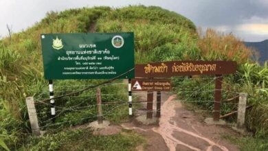ปิดผาหัวสิงห์