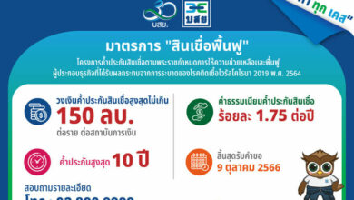 สินเชื่อฟื้นฟู บสย.