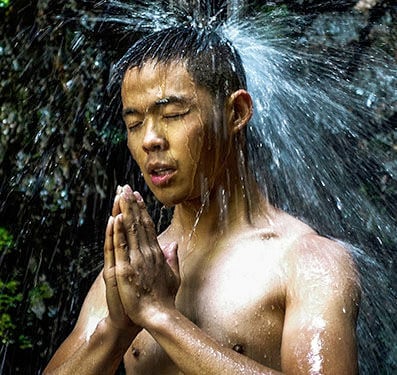 Forest Bathe in Kyoto's Sacred Mountain Airbnb