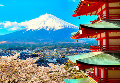 Tokyo Online Tour All in One With 10+ Top Sights