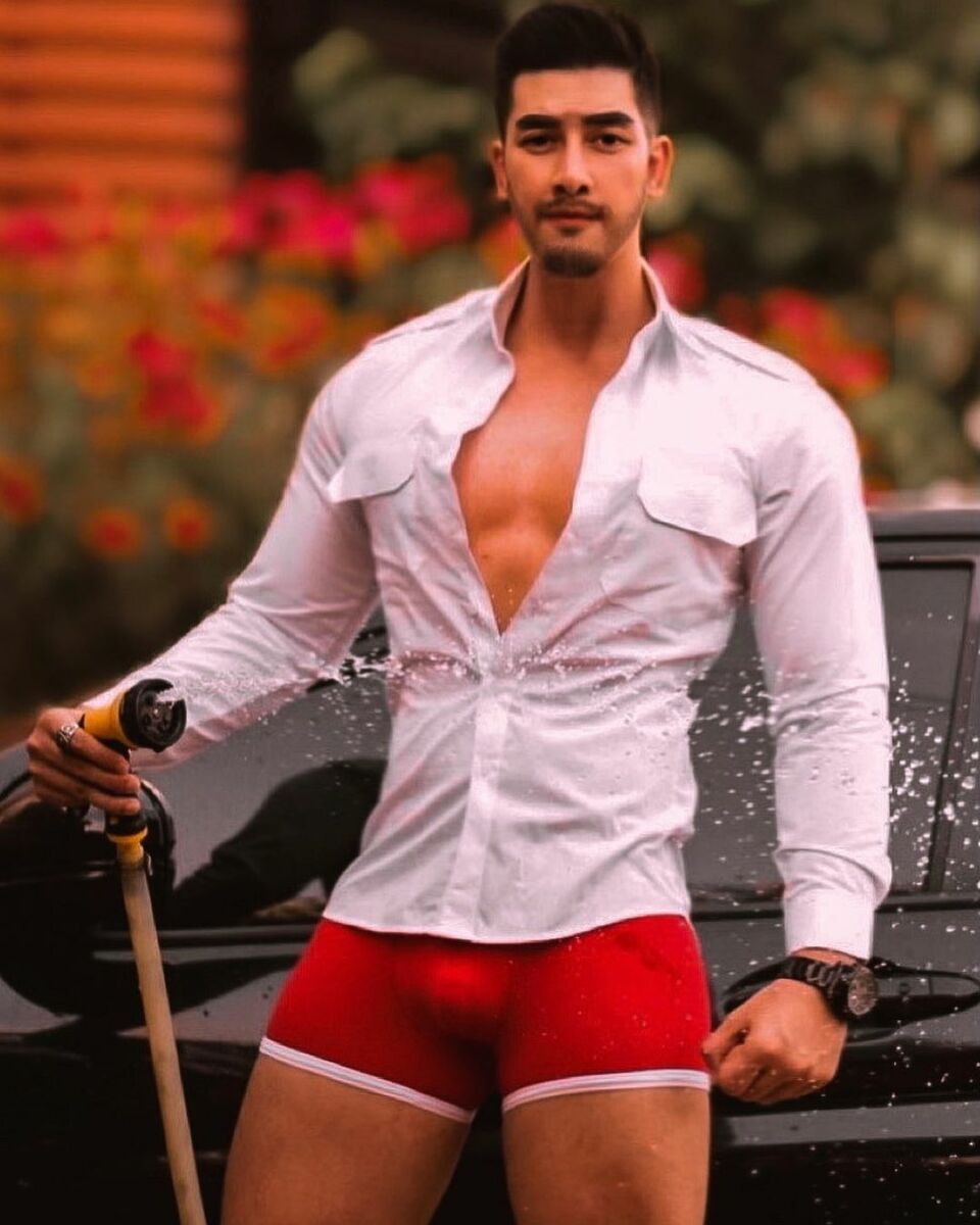 สิงโต เดอะสตาร์