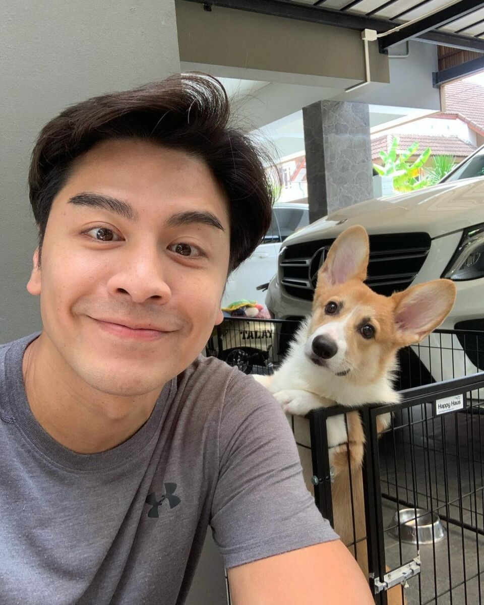 เต๋า ดรากอนไฟว์