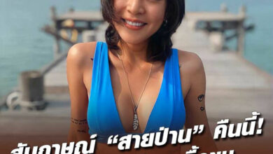 สายป่าน อภิญญา