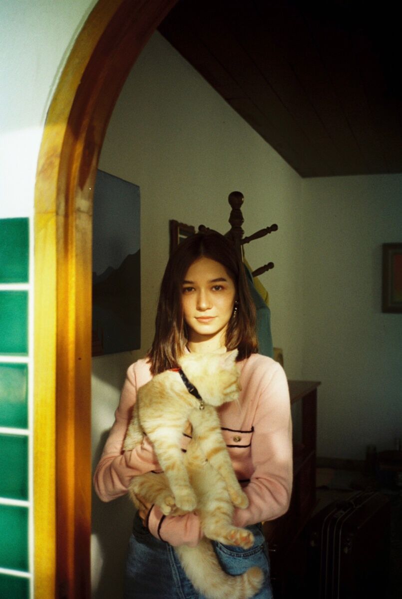 วี วิโอเลต