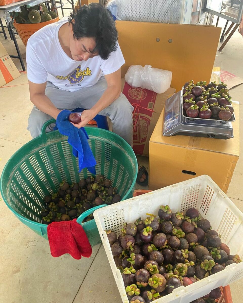 ชาคริต มังคุด