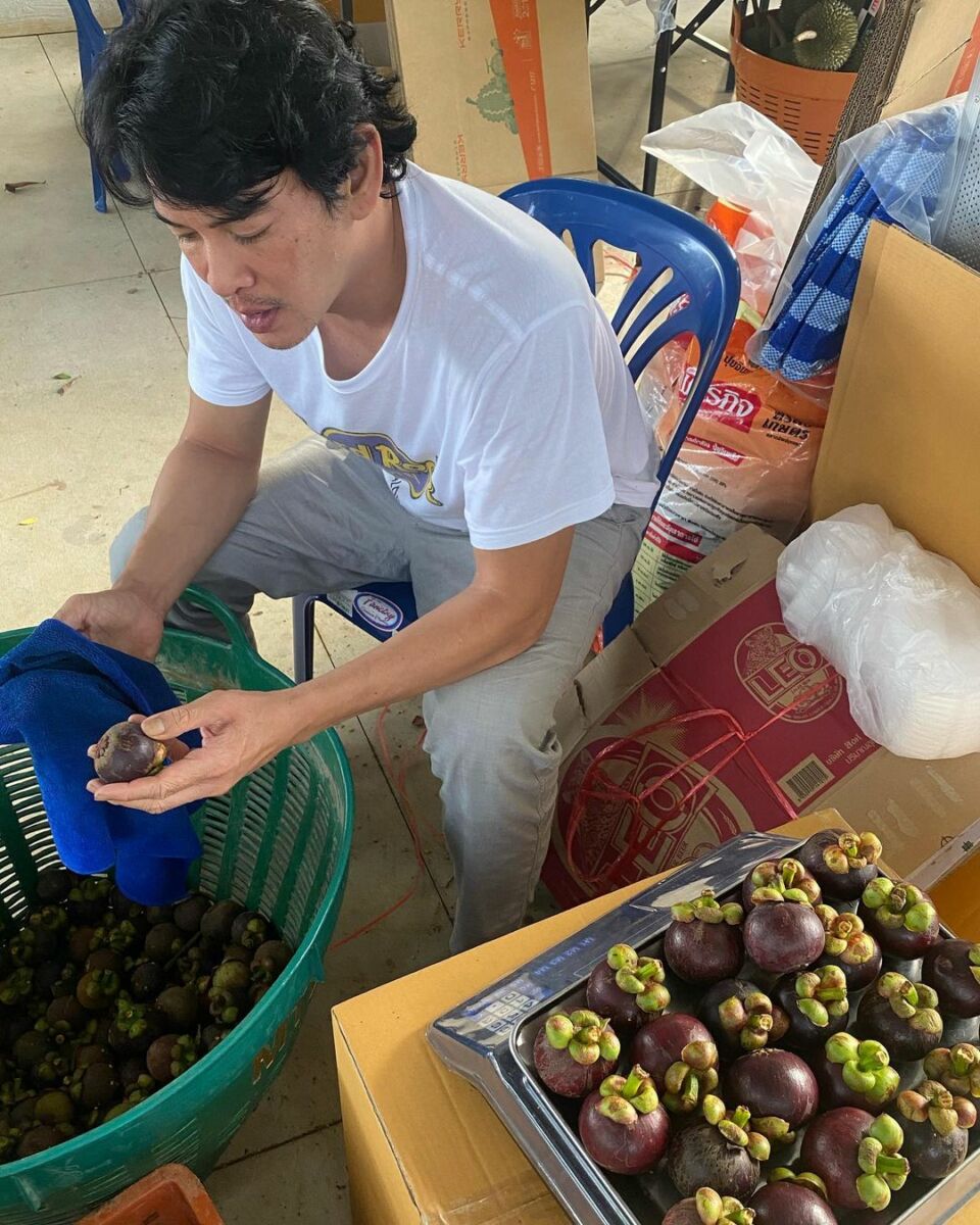 ชาคริต มังคุด