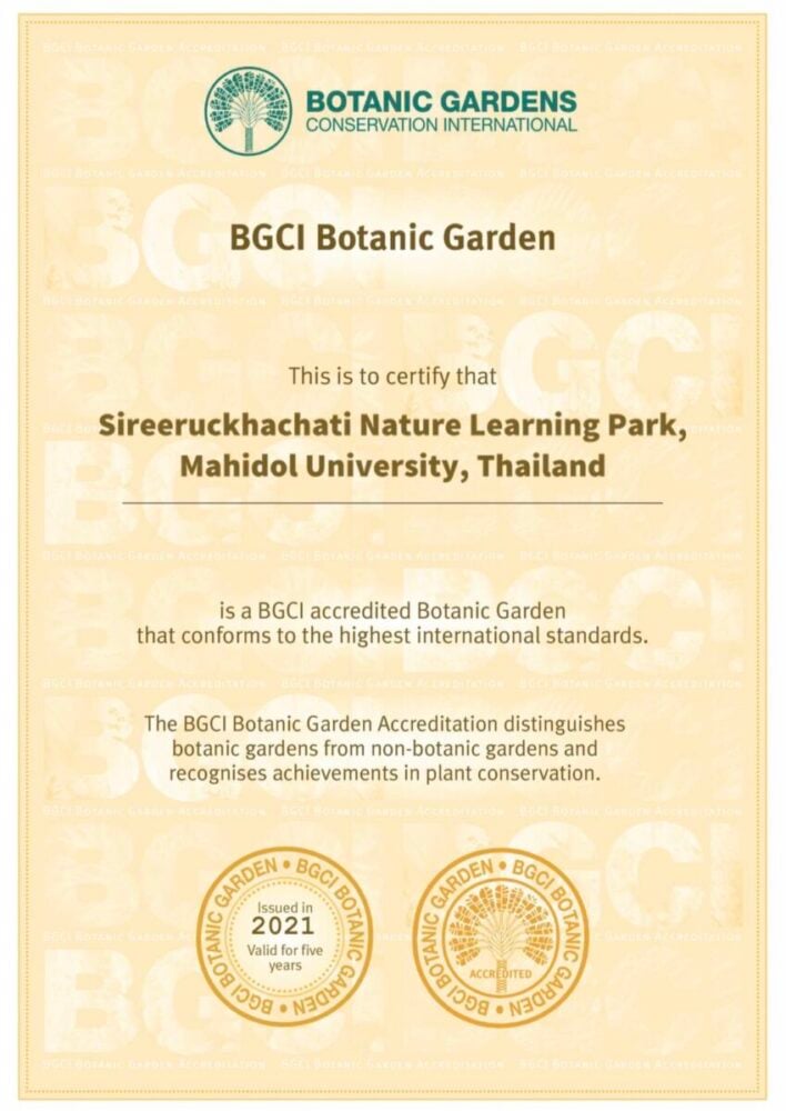 สถาบันอุทยานธรรมชาติวิทยาสิรีรุกขชาติ ม.มหิดล Botanic Gardens Conservation International (BGCI)