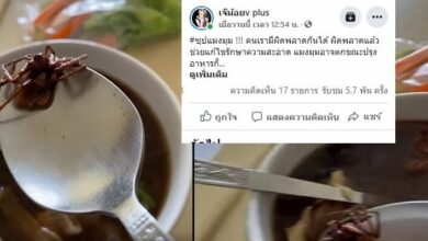 ซุปแมงมุม ผู้บริโภค