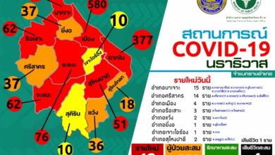 นราธิวาส คลัสเตอร์มัรกัส