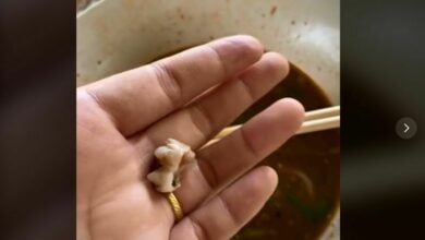 ฟันหมู ในก๊วยเตี๋ยว