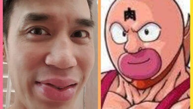 ดอม เหตระกูล