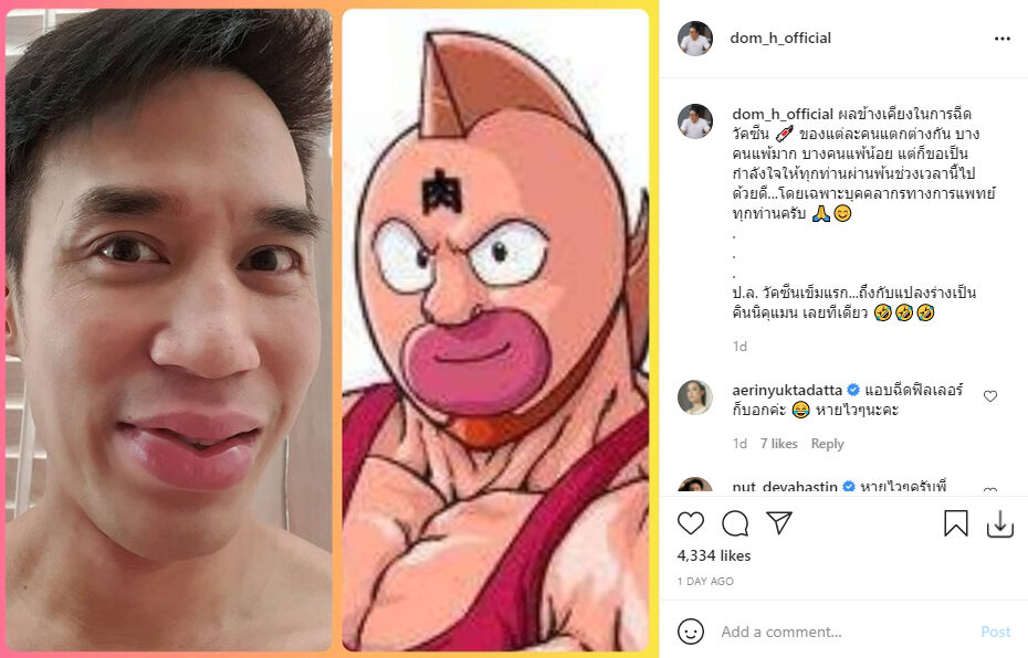 ดอม เหตระกูล