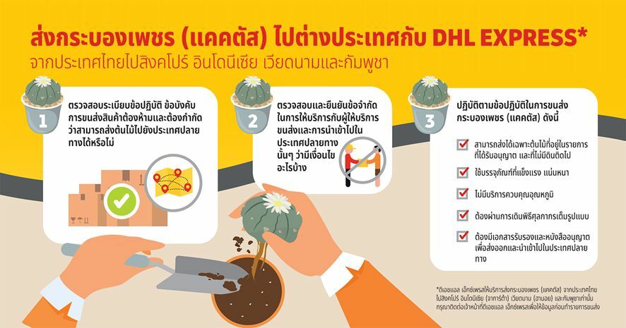 DHL ดีเอชแอล