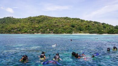 Phuket Sandbox