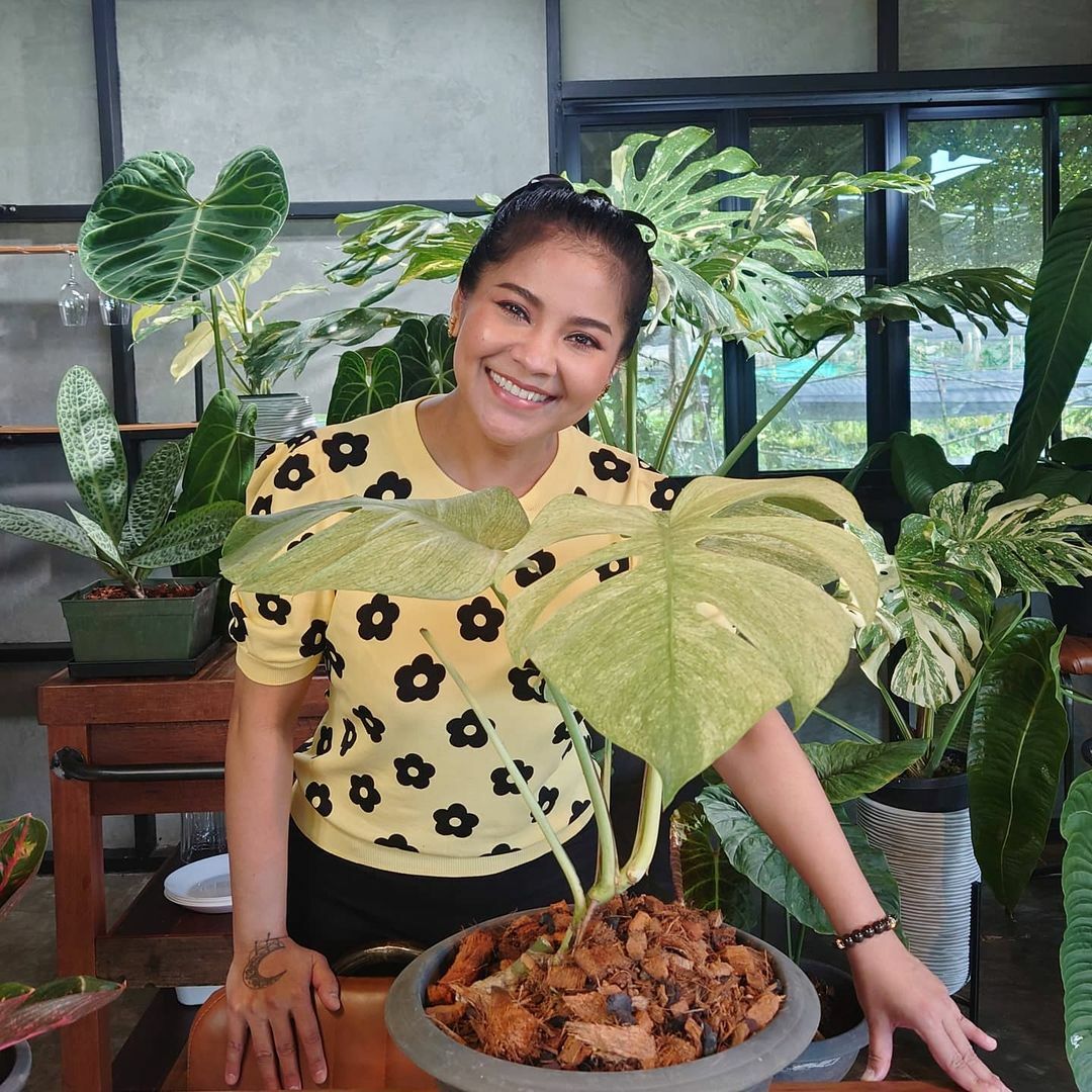 ตั๊ก ศิริพร