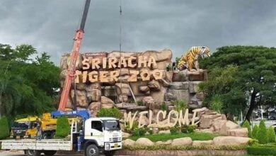 สวนเสือศรีราชา