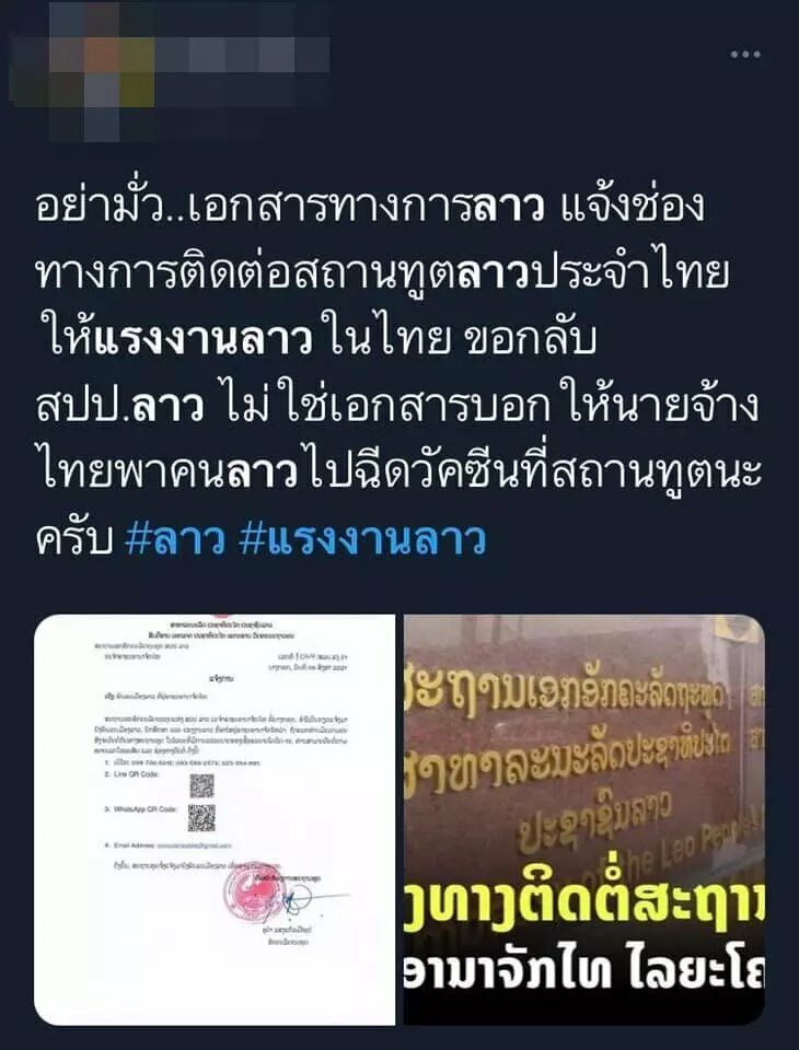 หมู พิมพ์ผกา