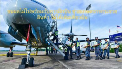 เครื่องบินขนผลไม้