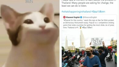 Popcat คอลเอาท์