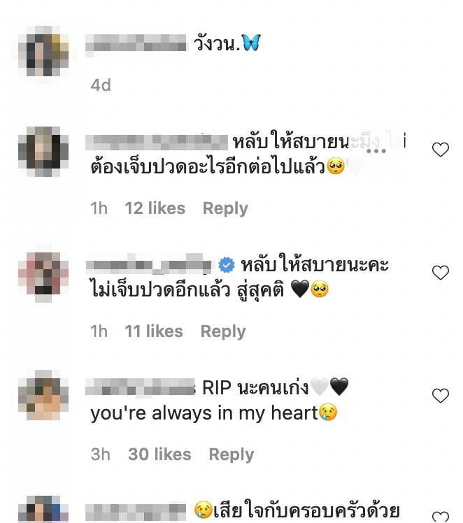 พิม ทอยทอย