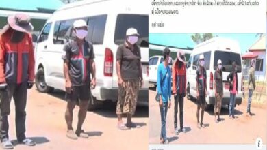 เก็บเห็ด วัคซีนไฟเอร์