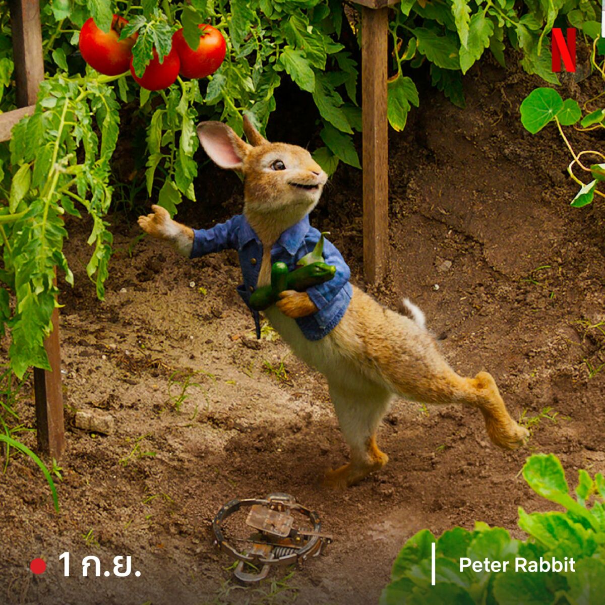 Peter Rabbit