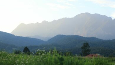 UNESCO ดอยหลวงเชียงดาว