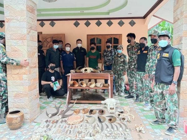 ขบวนการค้าซากสัตว์ป่าออนไลน์