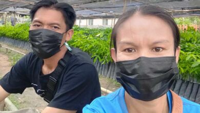 พ่อแม่ น้องชมพู่