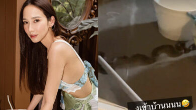 อั้ม พัชราภา