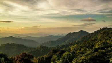 ของดีเมืองไทย แนะนำ 8 อุทยานแห่งชาติ สวยที่สุดในไทย
