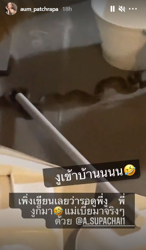 อั้ม พัชราภา