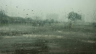 ฝนตก มรสุม