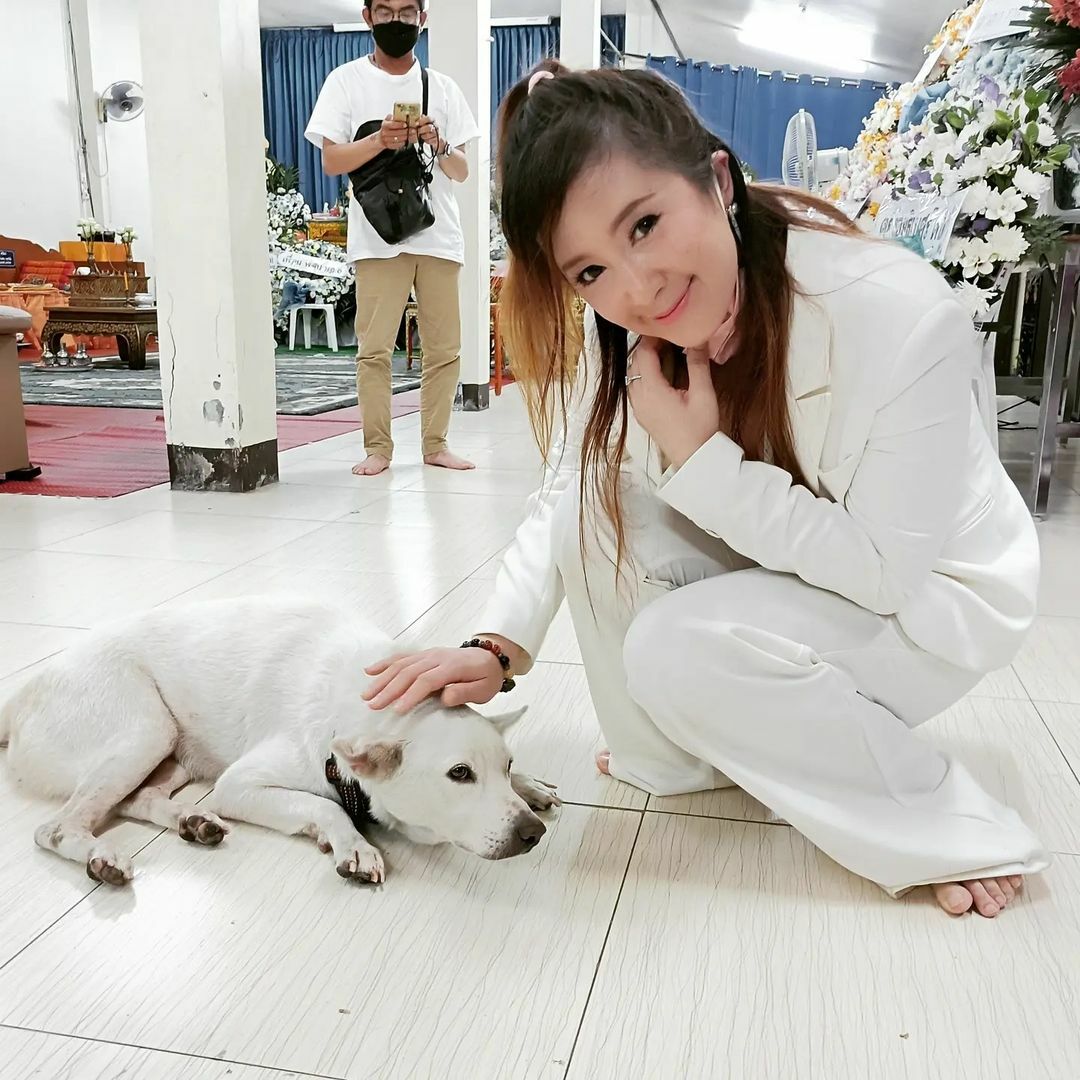 ต่าย สายธาร