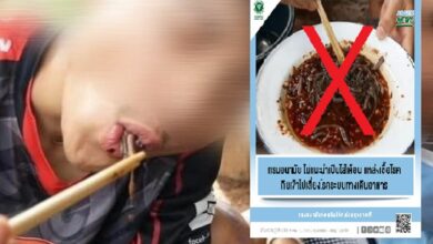 กินไส้เดือน