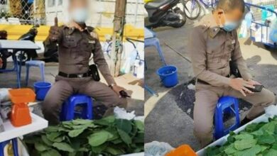 ตำรวจ ขายใบกระท่อม