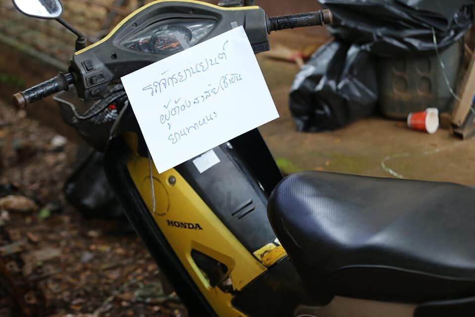 พบน้องจีน่าแล้ว