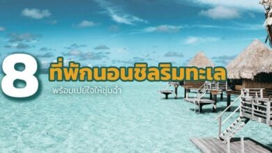 รวม 8 ที่พัก นอนชิลริมทะเล