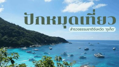 รวม 5 สถานที่เที่ยวเชิงอนุรักษ์จังหวัด ภูเก็ต รีวิว