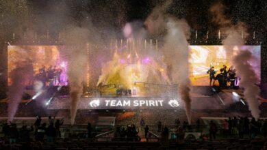 Team Spirit TI10