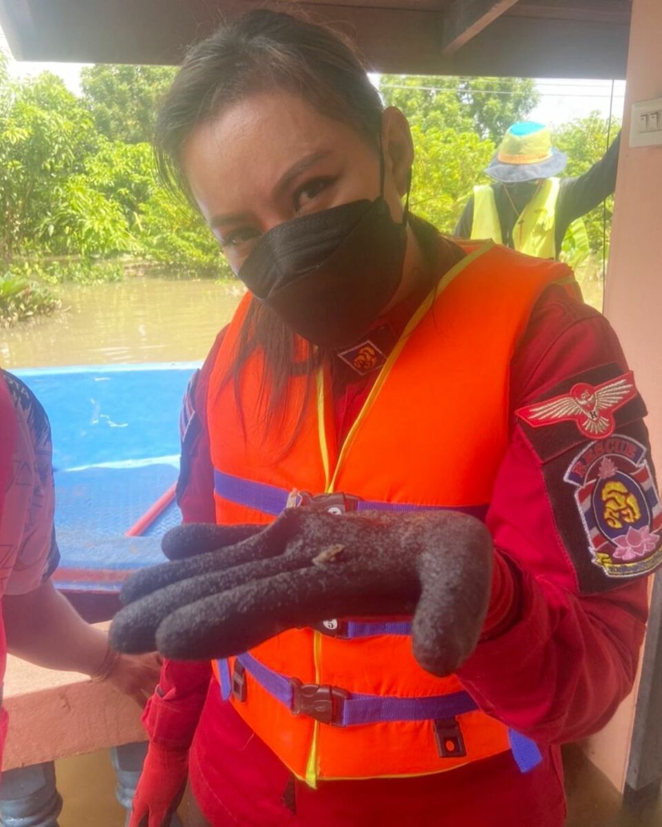 บุ๋ม ปนัดดา