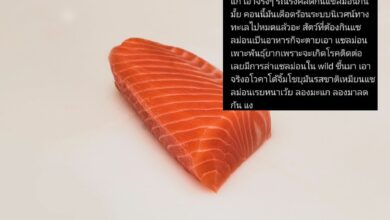 ดราม่าหยุดกินแซลมอน