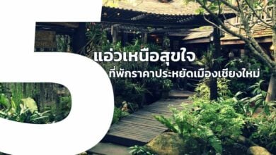 5 ที่พักเมืองเชียงใหม่ คุมงบได้ เริ่มต้นห้าร้อยบาท